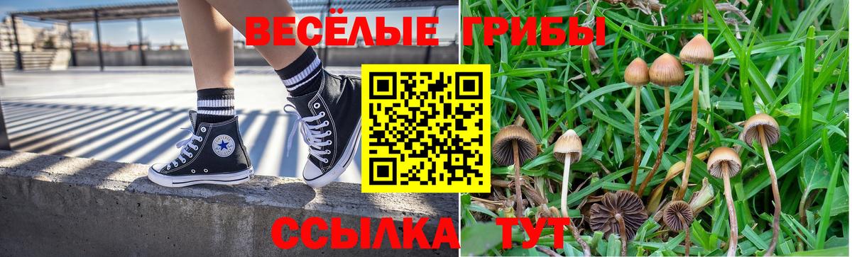 Малоярославец  купить  цена  Вход с VPN  Галлюциногенные грибы мухоморы 